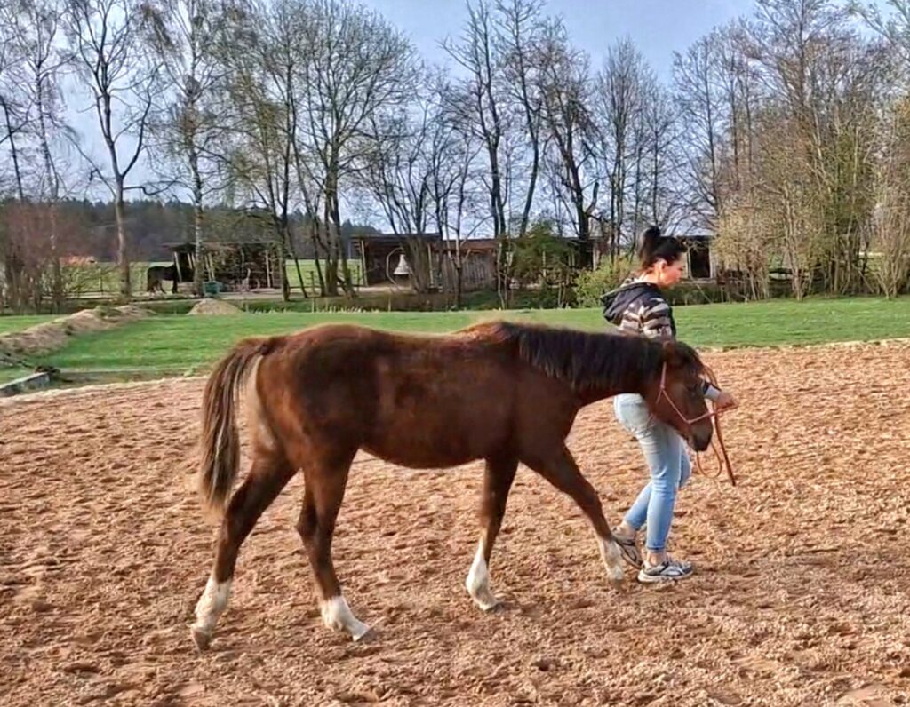 Screenshot_20240329_184137_Gallery