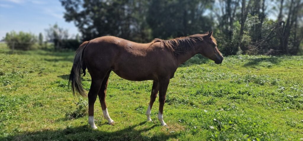 Screenshot_20240907_111754_Gallery_resized